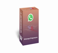 whatsapp module